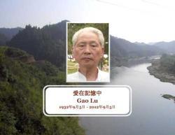 Gao Lu